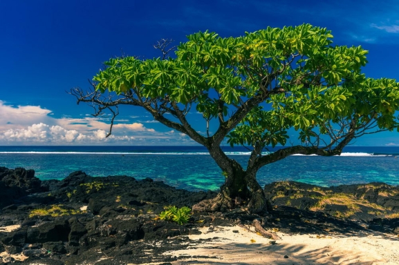Franču Polinēzija: LIELAIS OKEĀNIJAS KRUĪZS NO MELANĒZIJAS LĪDZ POLINĒZIJAI – FIDŽI, KUKA SALAS, AMERIKĀŅU SAMOA UN FRANČU POLINĒZIJA AR TROPU PARADĪZĒM: TAITI, MOREA UN BORA BORA