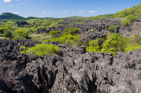 Madagaskara: PĀRSTEIDZOŠĀ REINJONA UN KRĀSAINĀ MADAGASKARA AR NOSY BE SALU – LEMURU UN AKMENS MEŽU ZEME