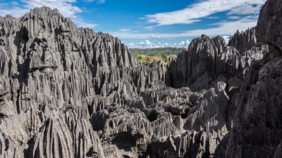Madagaskara: PĀRSTEIDZOŠĀ REINJONA UN KRĀSAINĀ MADAGASKARA AR NOSY BE SALU – LEMURU UN AKMENS MEŽU ZEME