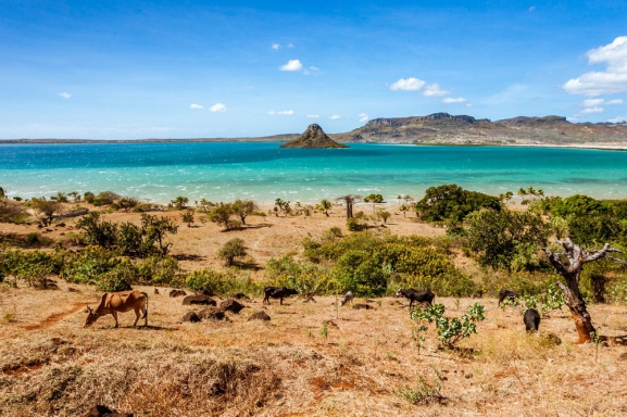 Madagaskara: PĀRSTEIDZOŠĀ REINJONA UN KRĀSAINĀ MADAGASKARA AR NOSY BE SALU – LEMURU UN AKMENS MEŽU ZEME