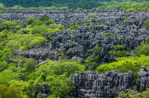 Madagaskara: PĀRSTEIDZOŠĀ REINJONA UN KRĀSAINĀ MADAGASKARA AR NOSY BE SALU – LEMURU UN AKMENS MEŽU ZEME